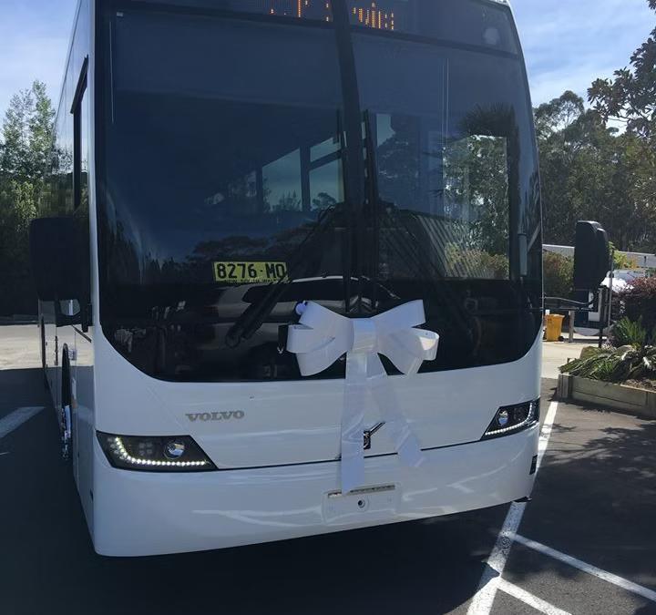 Sapphire Coast Buslines